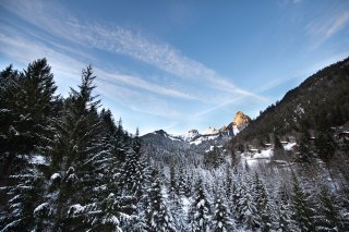 Torgon